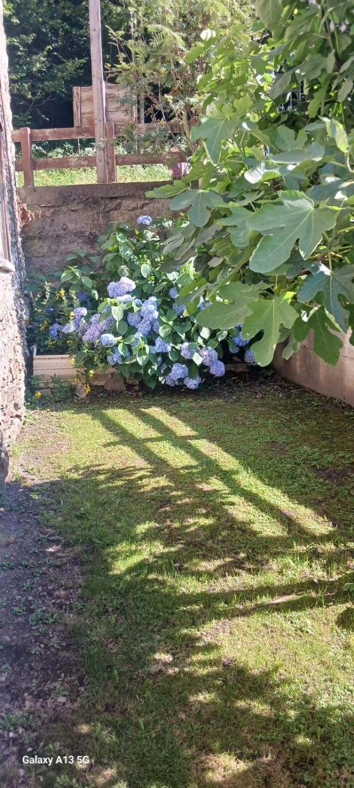Casa Valentino Villa Corteno Golgi Eksteriør bilde